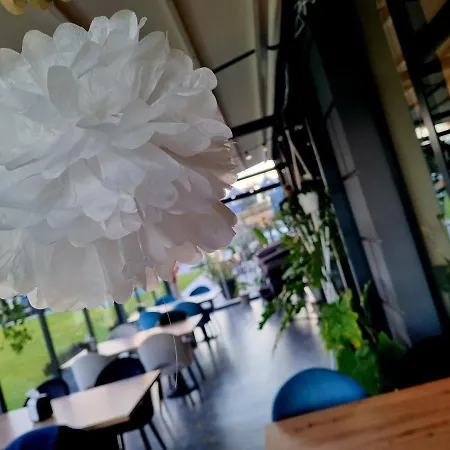 Przystanek Plaza Apartment