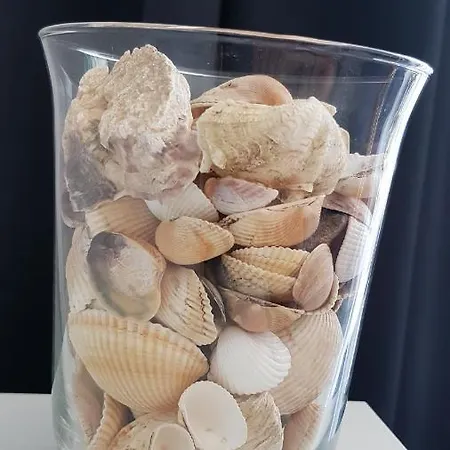 Przystanek Plaza Apartment Sarbinowo