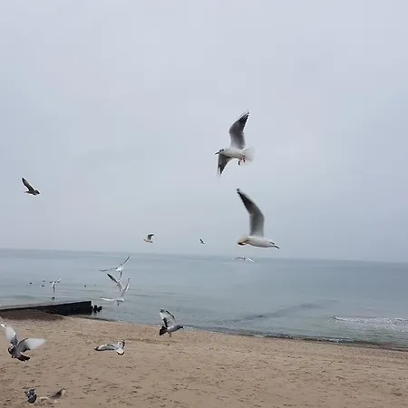 Przystanek Plaza Sarbinowo