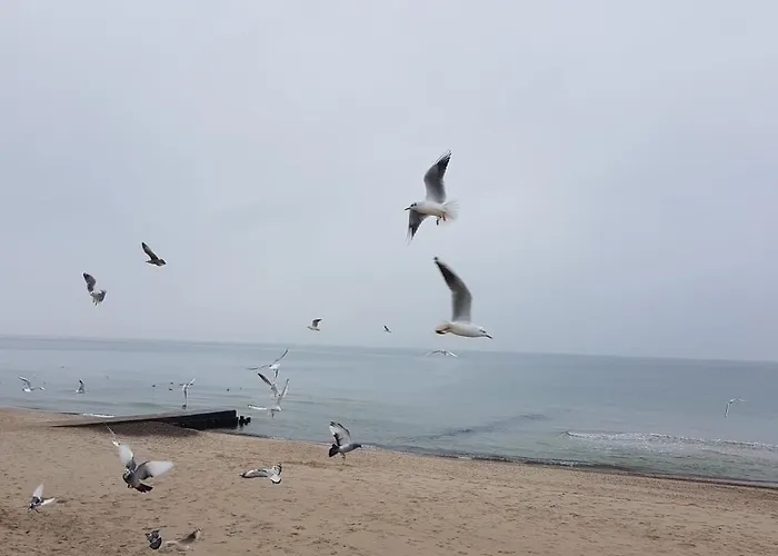 Przystanek Plaza Sarbinowo